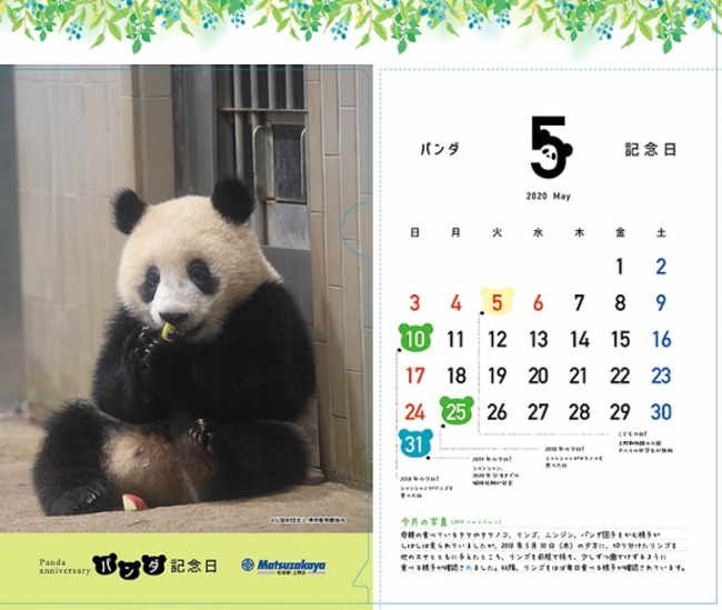 今月はもぐもぐ 松坂屋上野店の月ごとにデザインが変わる パンダ記念日カレンダー入りクリアファイル プレゼント 蜜柑通信