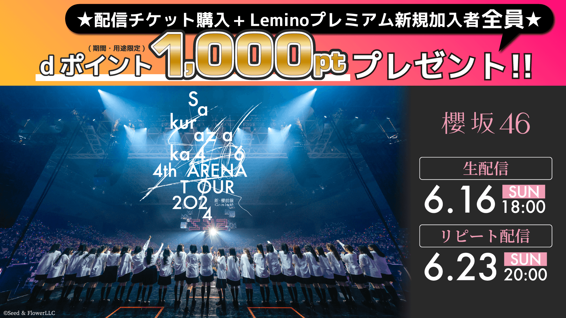 櫻坂46 4th ARENA TOUR 2024 新・櫻前線 -Go on back?- IN 東京ドーム 